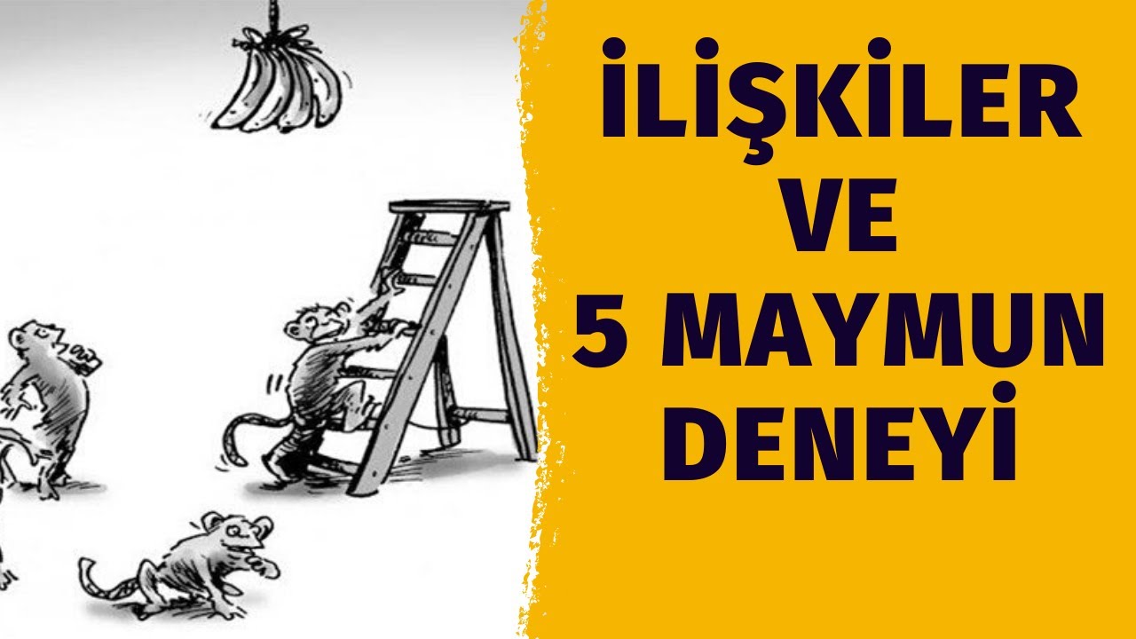 İlişkide Aileler Arası Denge | Eşler Arası Kültür Farkı | Evlilikte Denklik