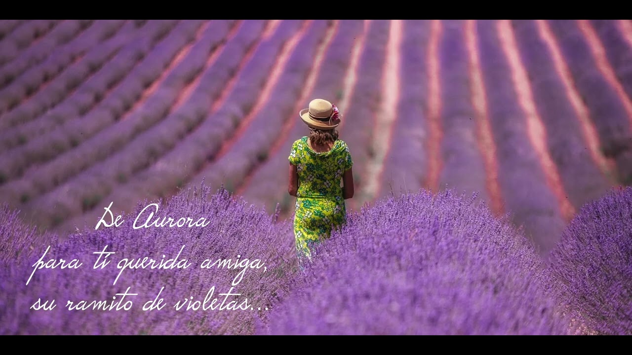 Aurora - Un ramito de violetas