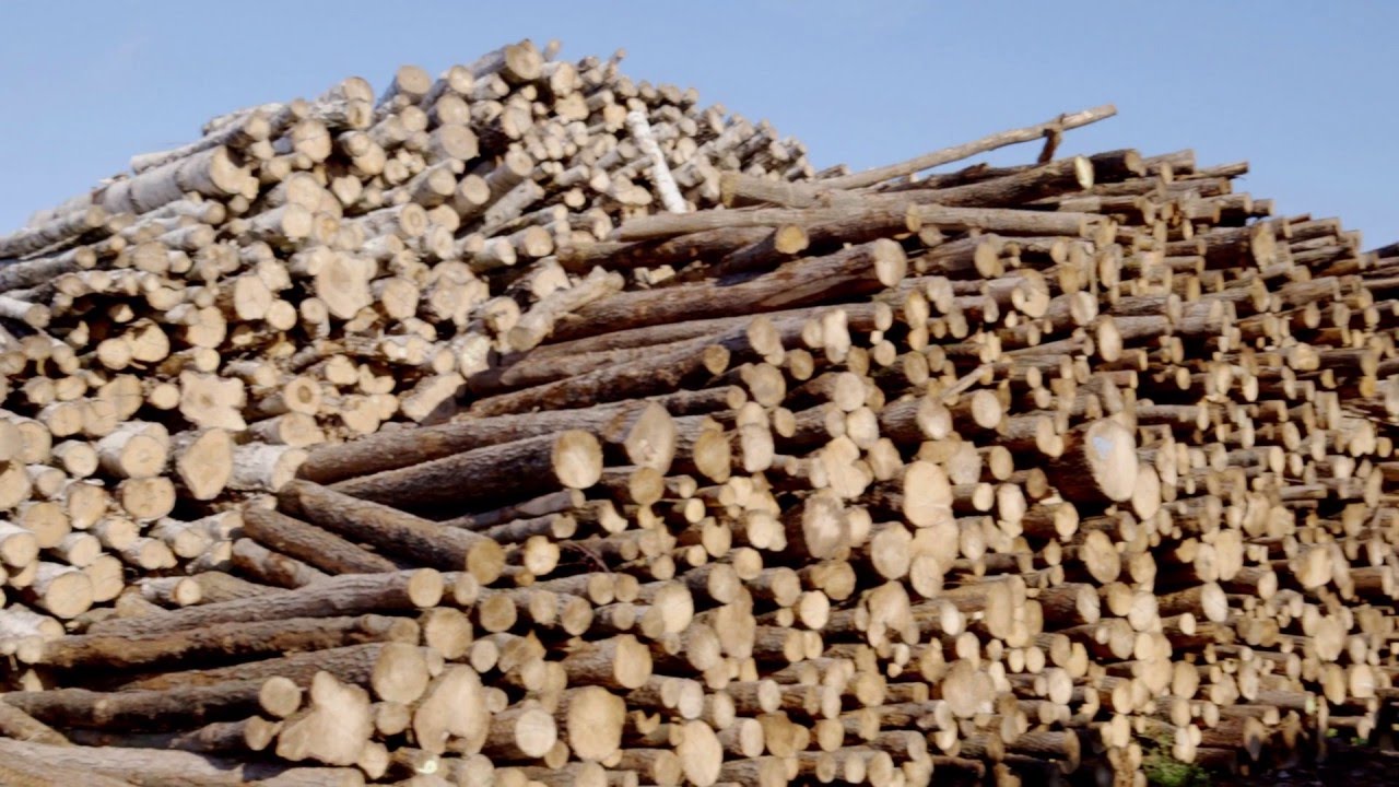 Pfleiderer - Production: Sustainabiliy