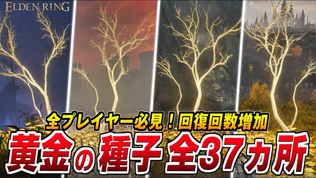 【エルデンリング】黄金の種子(全37ヶ所) 入手場所/全プレイヤー必見の回復回数増加アイテム【ELDENRING 攻略】