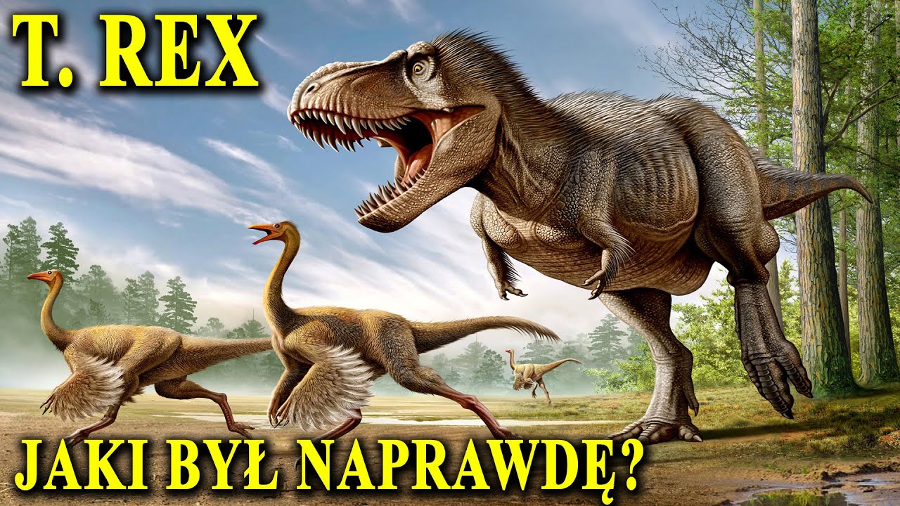 TYRANOZAUR - Bestia Wszech Czas&oacute;w | Jaki Był Naprawdę?