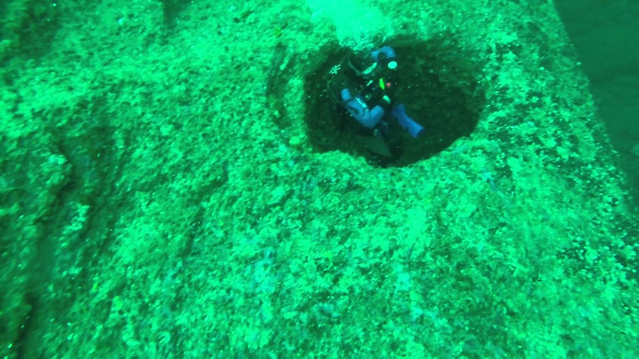 Diving in Saltstraumen