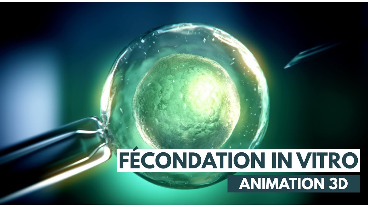 F&eacute;condation In Vitro (FIV) - ICSI | Animation 3D