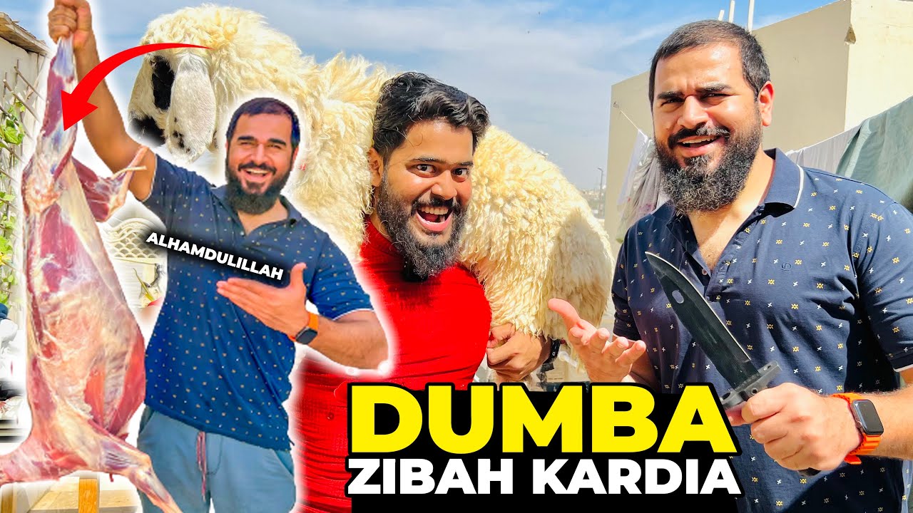 Alhamdulillah dumba zibah kardia 🐑
