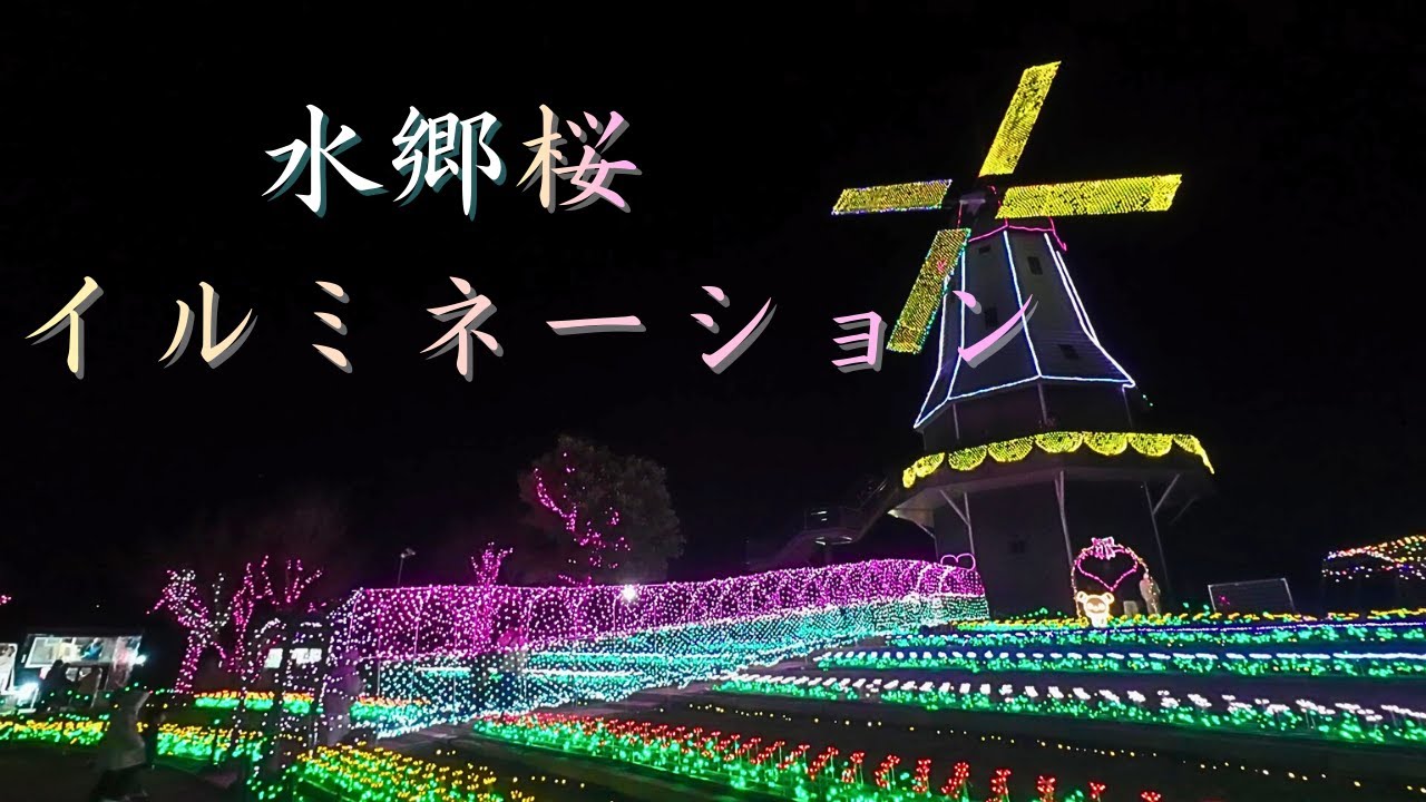 水郷桜イルミネーション