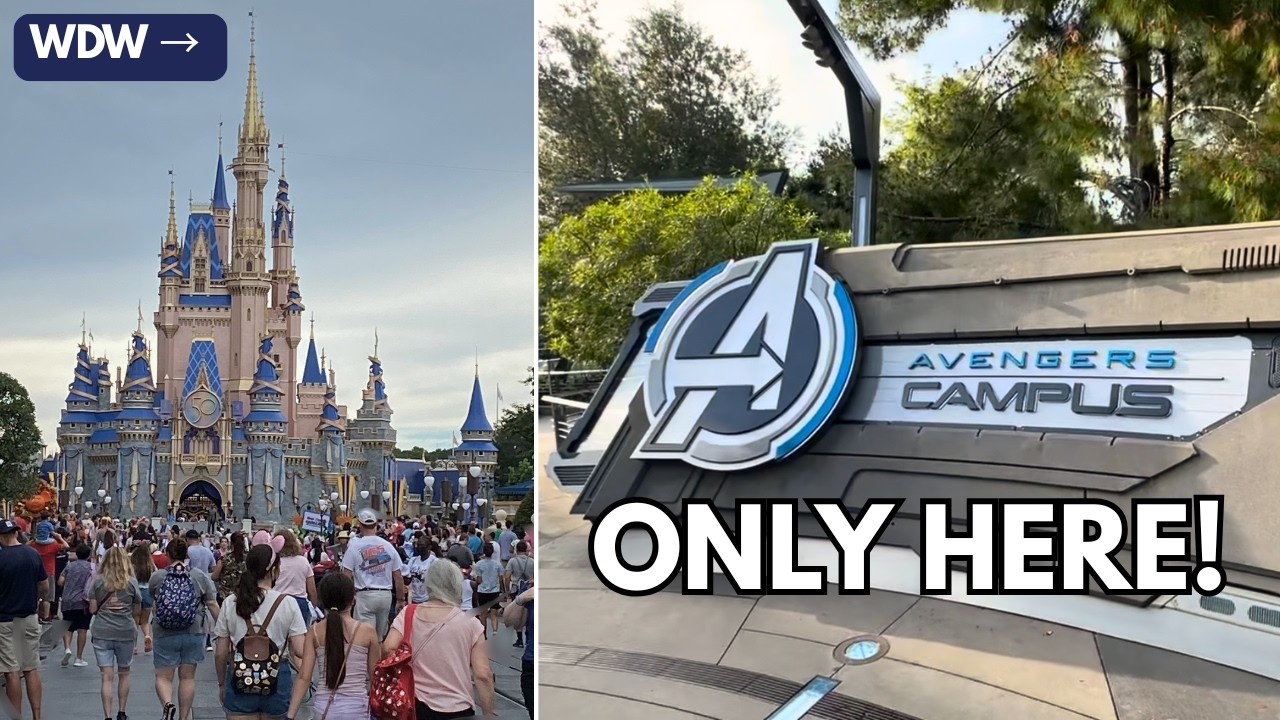 Disneyland for Disney World Families: What You Can’t Miss in California!