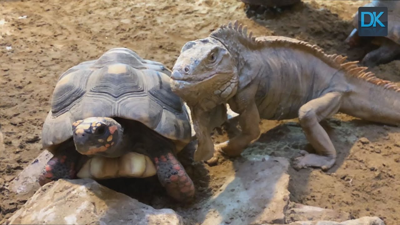 Die Tiere im Zoo Wasserstern Ingolstadt