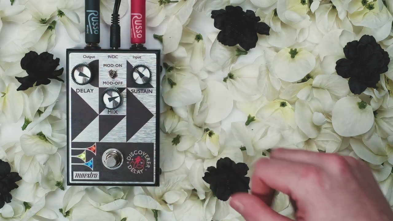 Maestro Discoverer Delay | Russo Music
