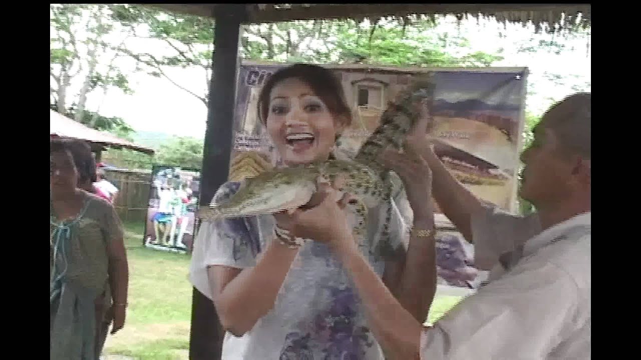 Palawan's Wildlife Wonderland, the Last Frontier Part 4; Mango Tours in Balitang America