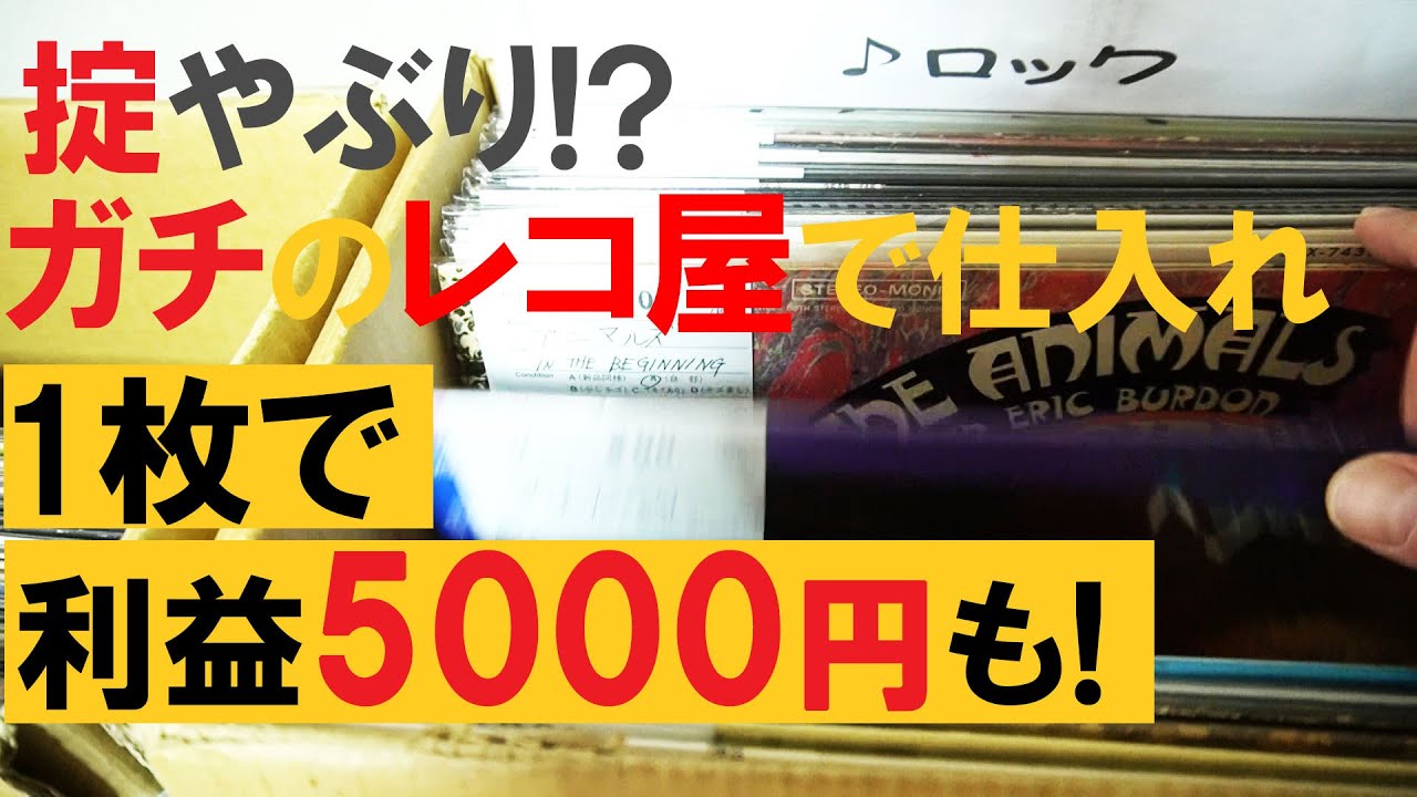 レコ屋がレコード屋でせどり！？【レコード仕入れ】【アナログレコード】#ヤフオク #おはレコ