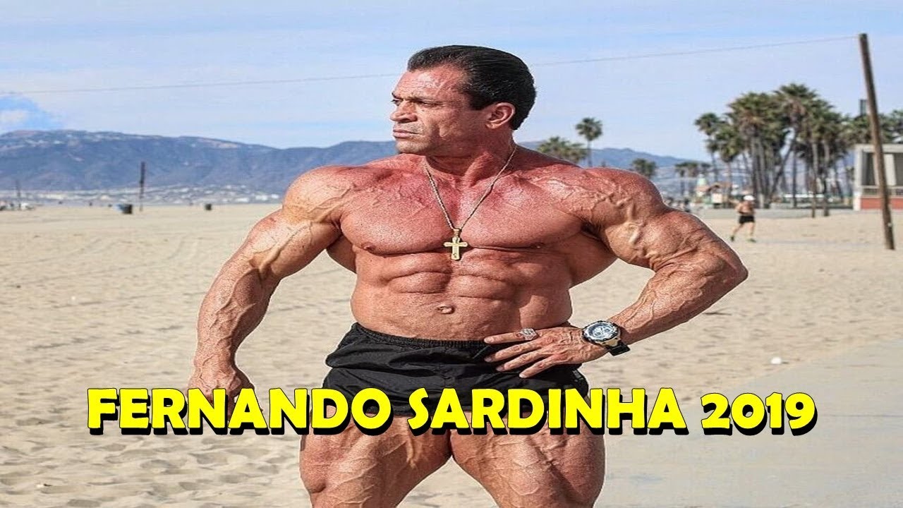FERNANDO SARDINHA 2019 [MONSTRO MOTIVACIONAL]
