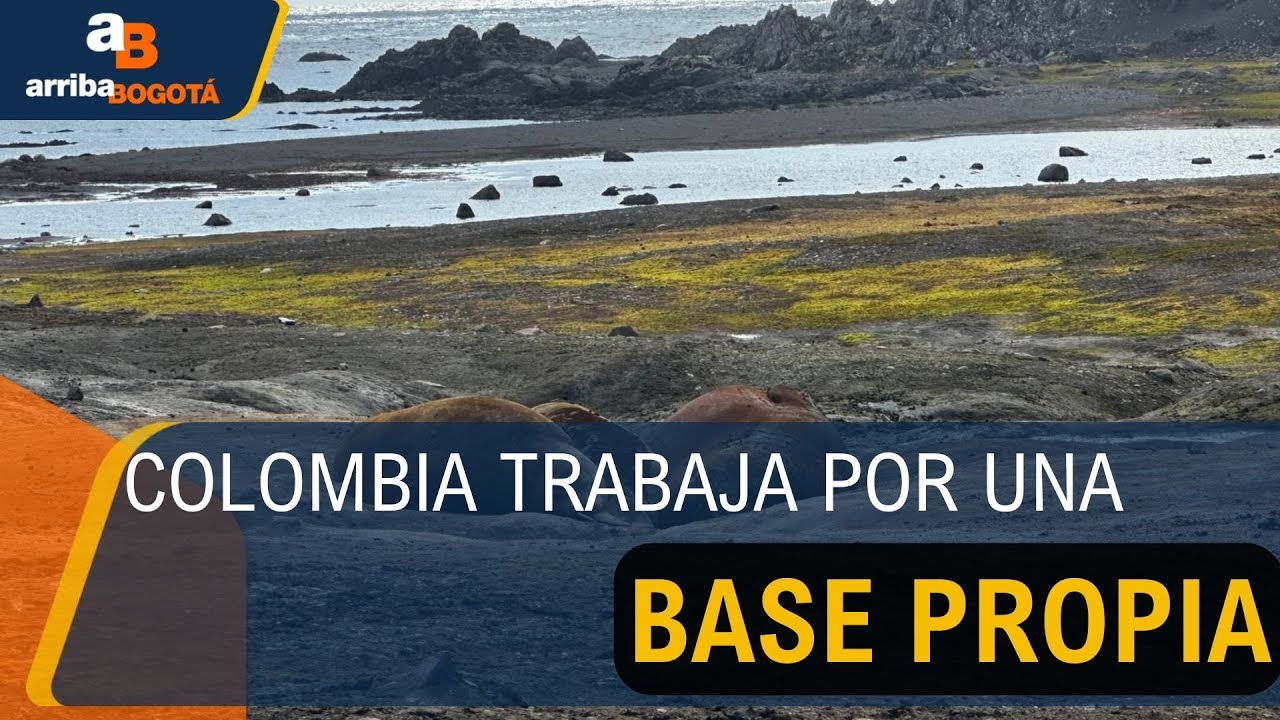 Avanza la travesía colombiana en la Antártida para consolidar una base científica propia | CityTv