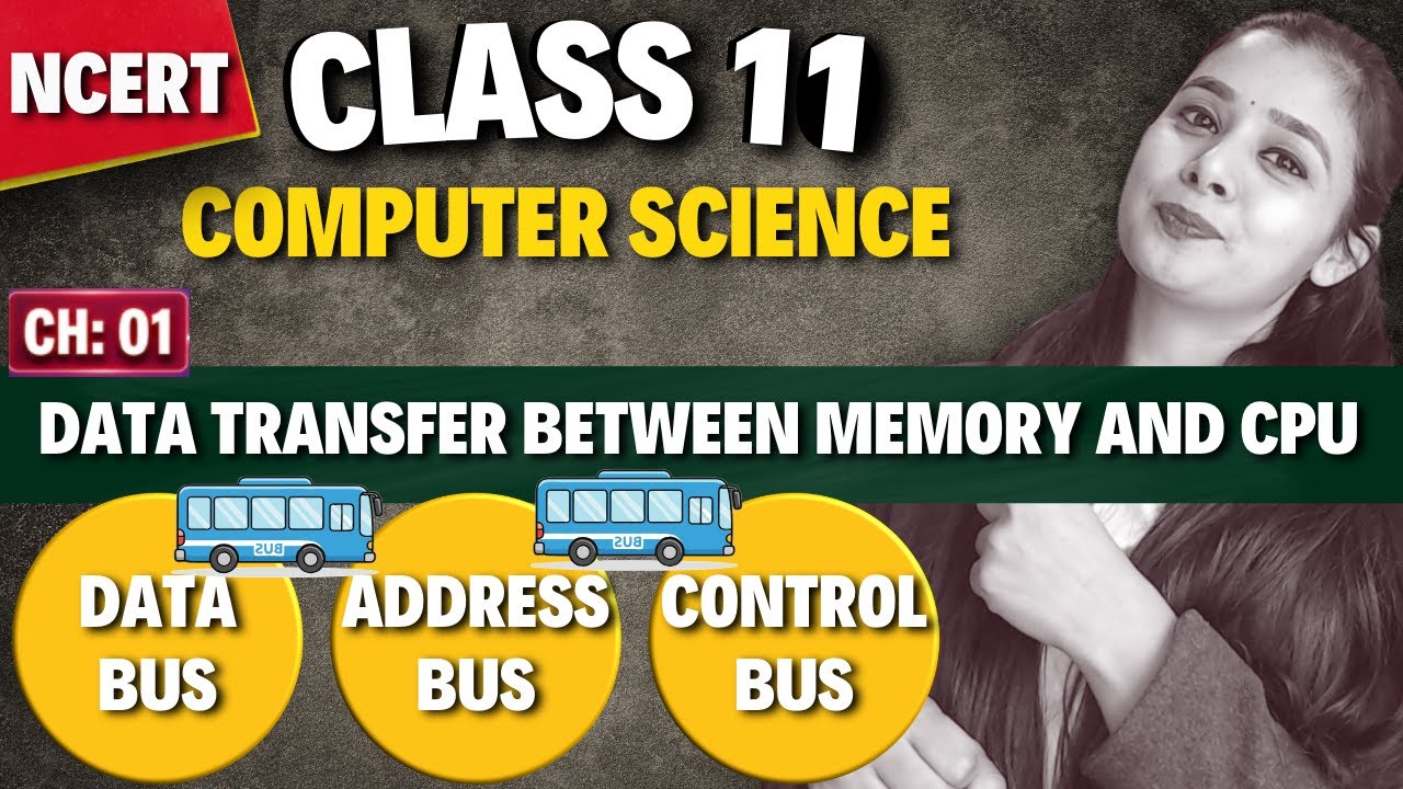 Data Bus, Address Bus, Control Bus | Data Transfer Between Memory and CPU | Class 11 CS
