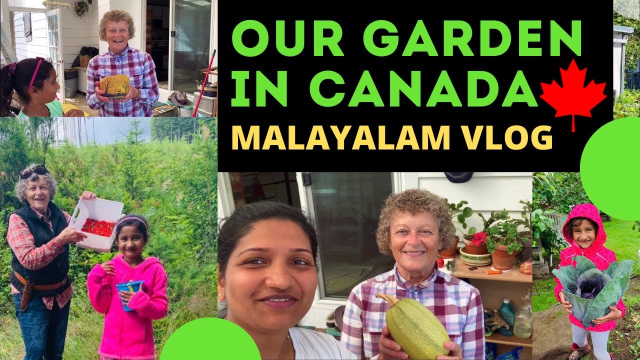 OUR GARDEN IN CANADA | ഞങ്ങളുടെ കാനഡയിലെ പച്ചക്കറിത്തോട്ടം | Canada Malayalam Vlog Ep#4 2020