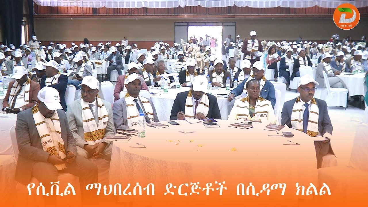 የሲቪል ማህበረሰብ ድርጅቶች በሲዳማ ክልል የኅብረተሰቡን ችግር በሚፈቱ ስራዎች ላይ ትኩረት ሰጥተው እየሰሩ መሆናቸው ተገለፀ