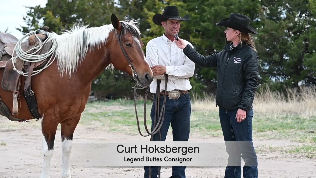 Curt Hoksbergen consignor interview