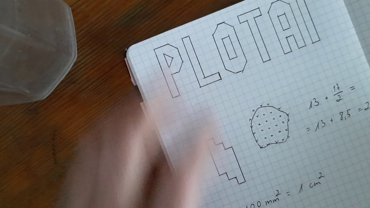 Ploto vienetai
