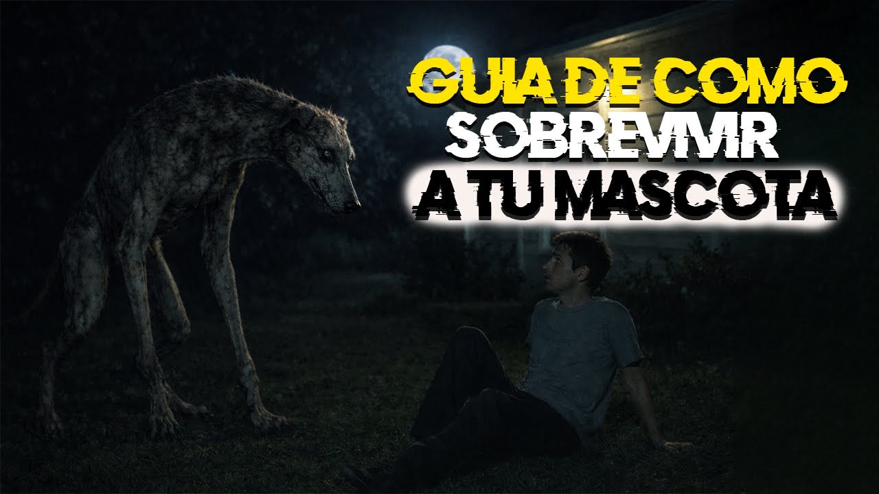 Gu&iacute;a de como sobrevivir a tu mascota | Relato de terror | Creepypasta