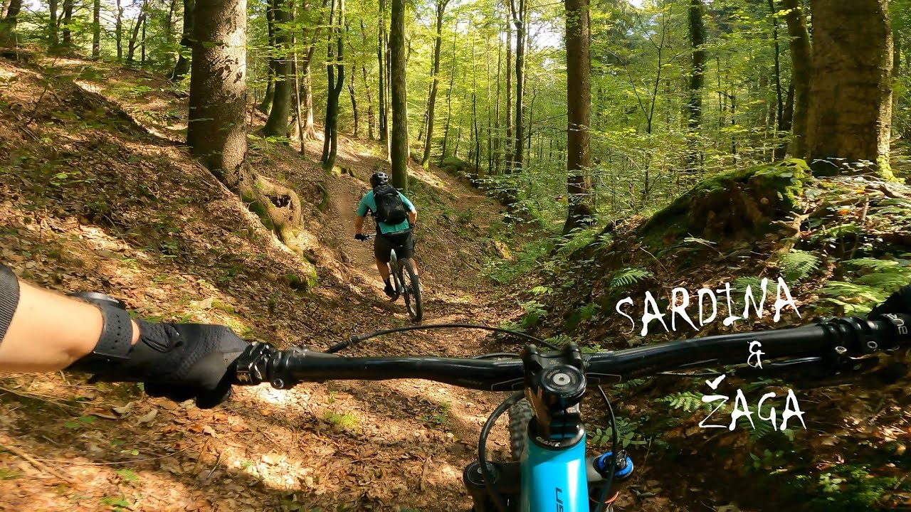 MTB Rašica – Mengeš // SARDINA // ŽAGA