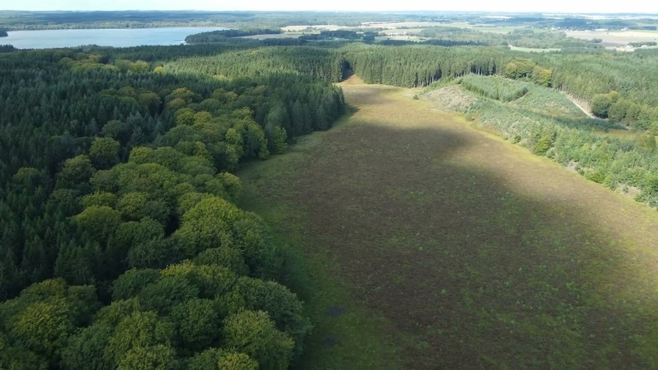 Hellum Forest and 'Langmosen'