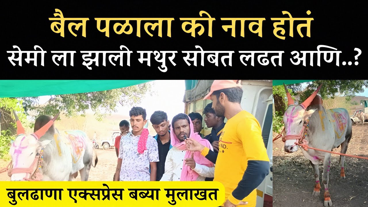 बुलढाणा एक्सप्रेस बब्या मुलाखत | Buldhana Express BABYA | जायगाव ओपन मैदानातील गुलालाचा मानकरी