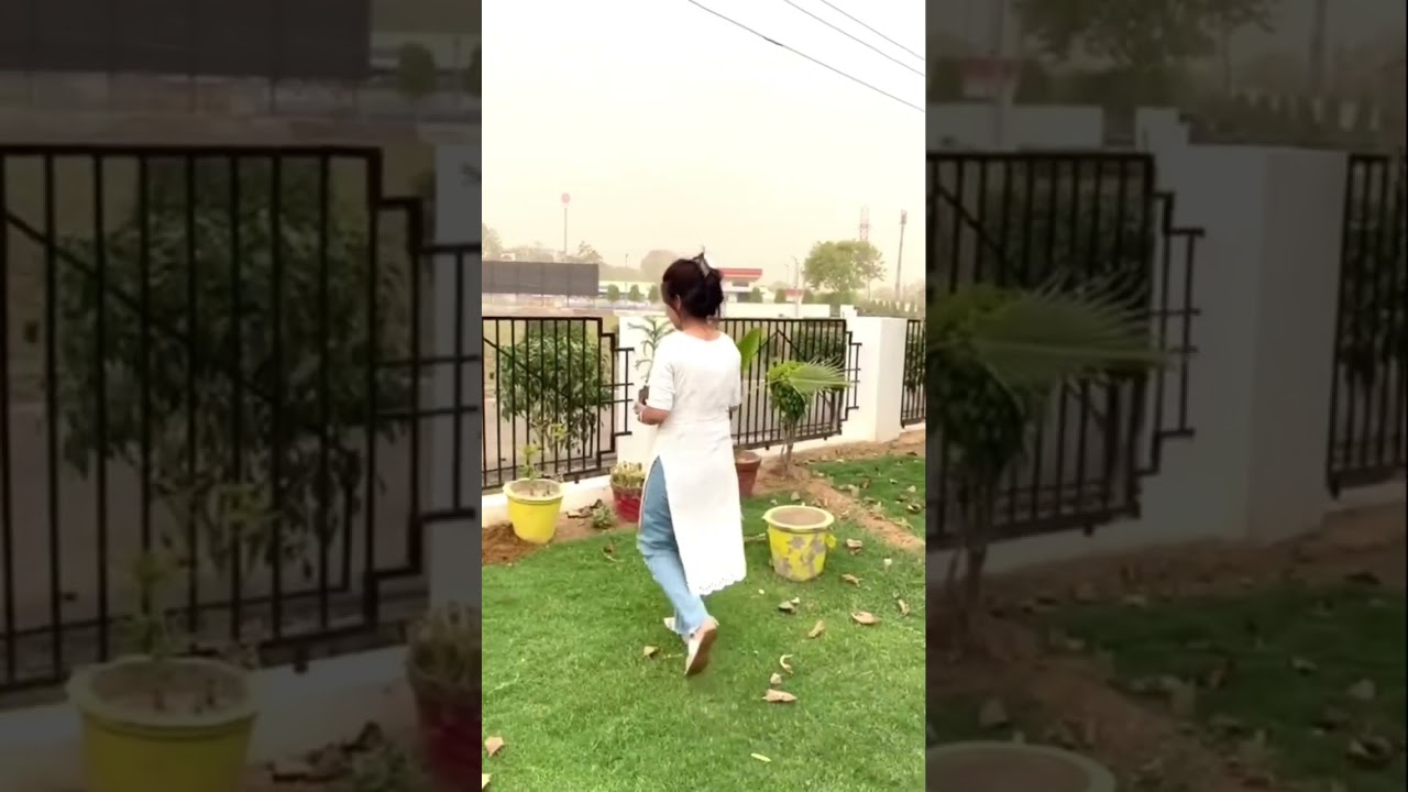 Planting Trees,Reviving Earth | Dera Sacha Sauda #shorts #ramrahim #Plant4Mother #एक_पेड़_माँ_के_नाम
