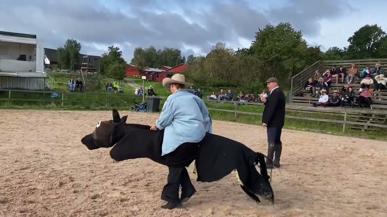 Hearts & Horses - Reitmeister Baron Friedrich Von Smetterling - Taking about riding patterns!