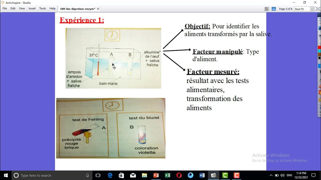biolgie  EB9 chapitre 1 avt 3 les enzymes agents de la digestion partie 1