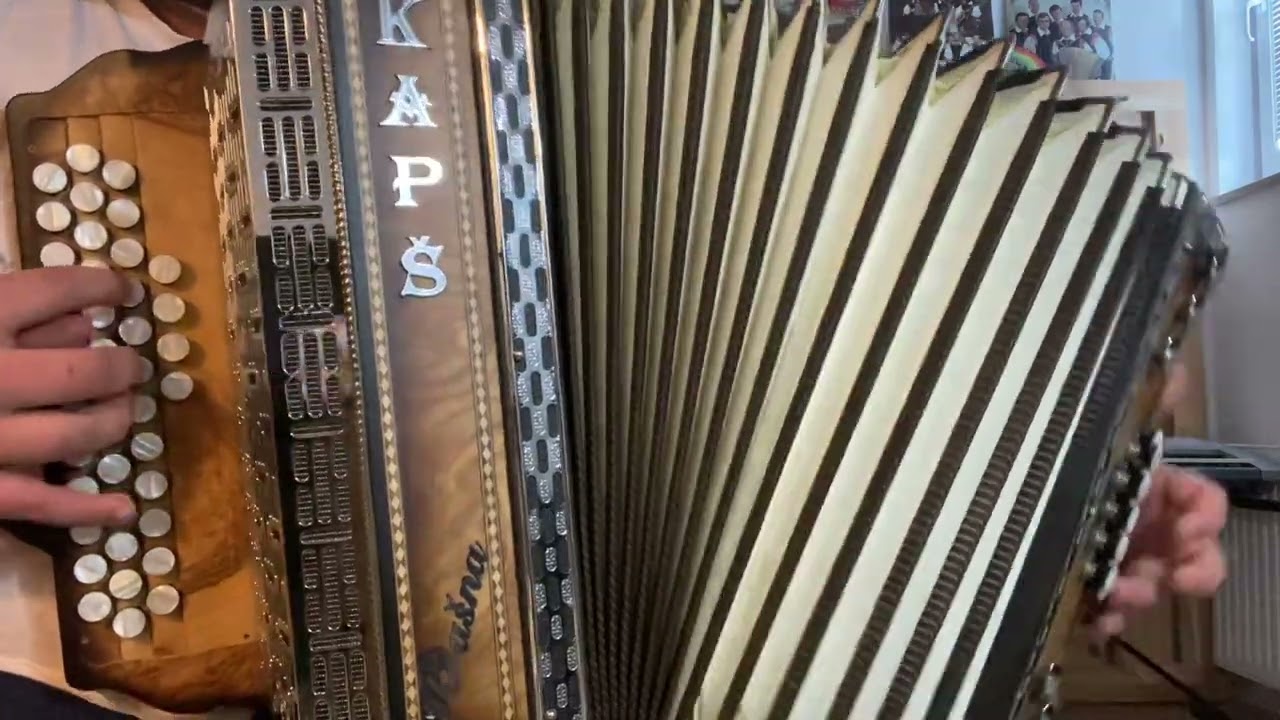 S harmoniko na obisku [Harmonika auf Besuch] (Franc Mihelič)