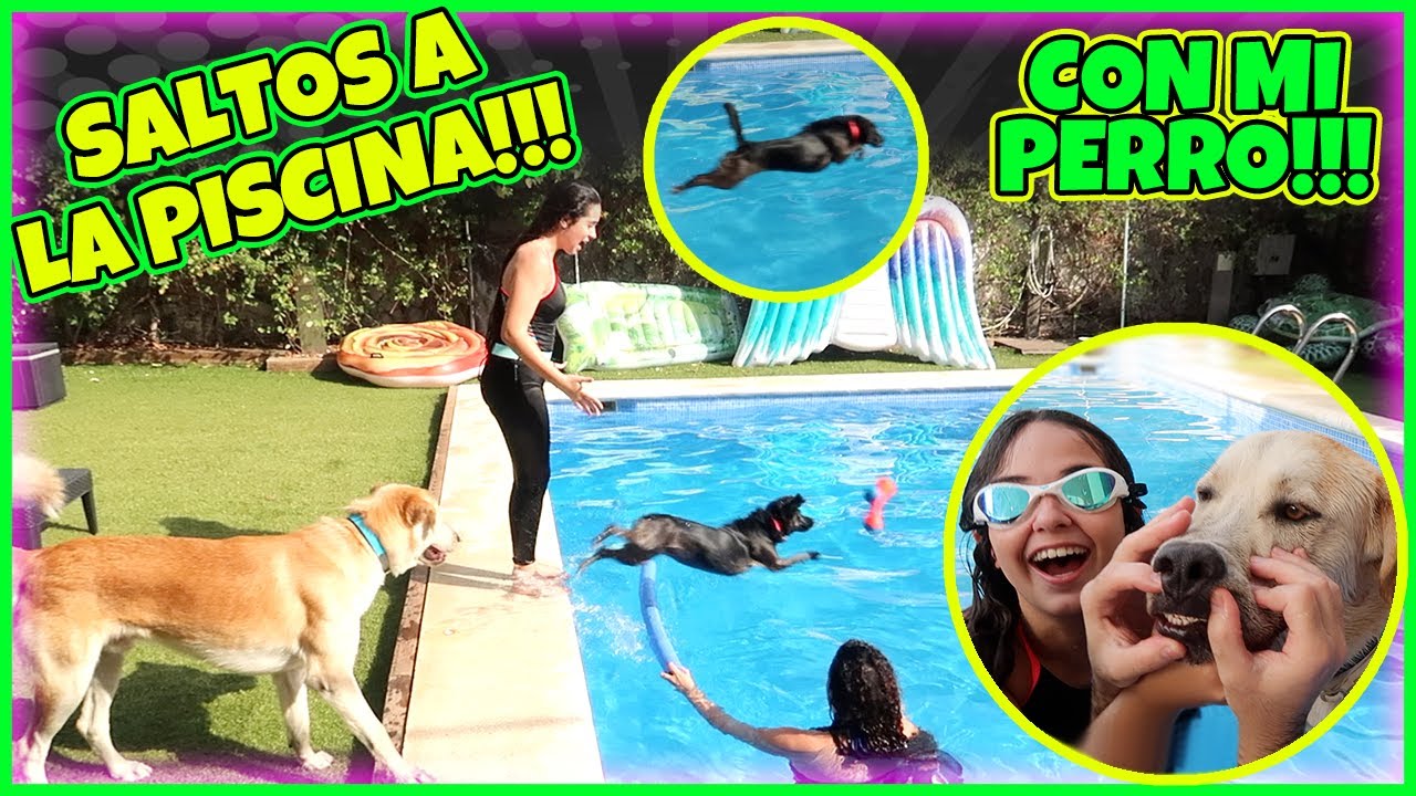 SALTOS a LA PISCINA CON MI PERRO!!! RETOS en LA ALBERCA CON MI MASCOTA!!! LUNA APRENDE A NADAR!!!