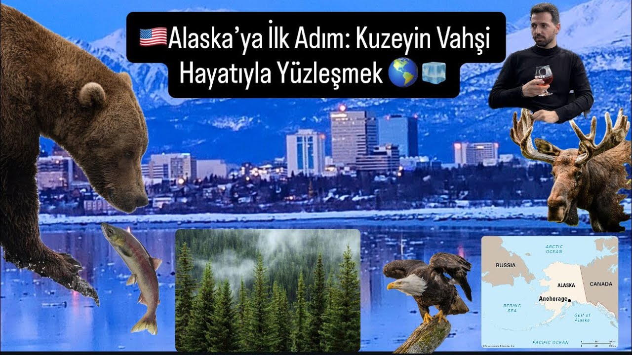 Dünyanın En Vahşi Yeri: Alaska’da İlk Günüm