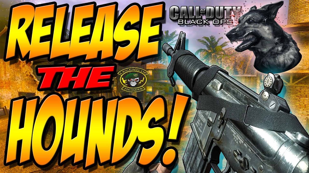 COD Black Ops: SR71 Blackbird, Chopper Gunner, Dogs! (Call of Duty: Black Ops Multiplayer Gameplay)