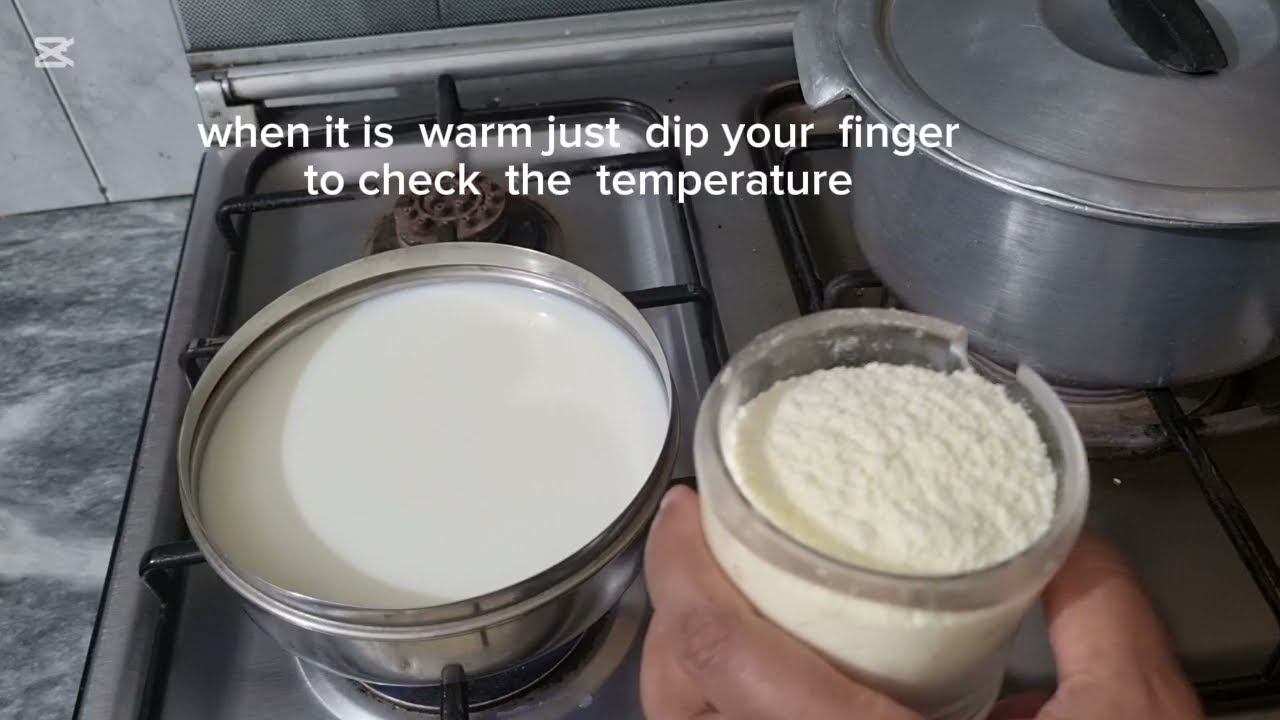 Homemade yoghurt (easy to  make)By Appi's cuisine 