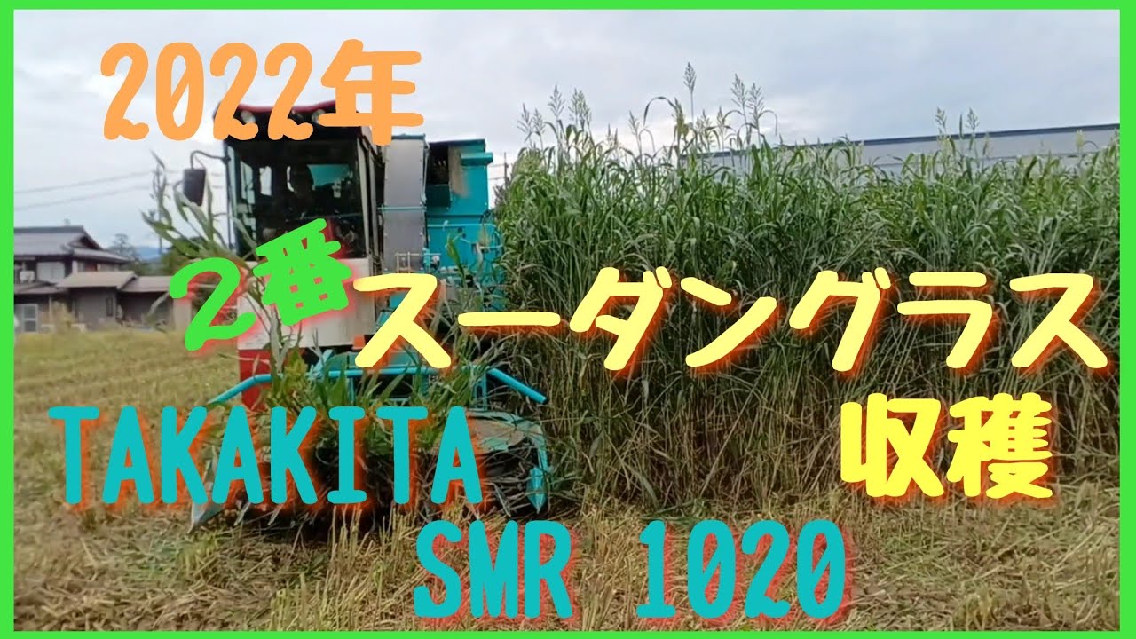 2022年スーダングラス2番 収穫作業