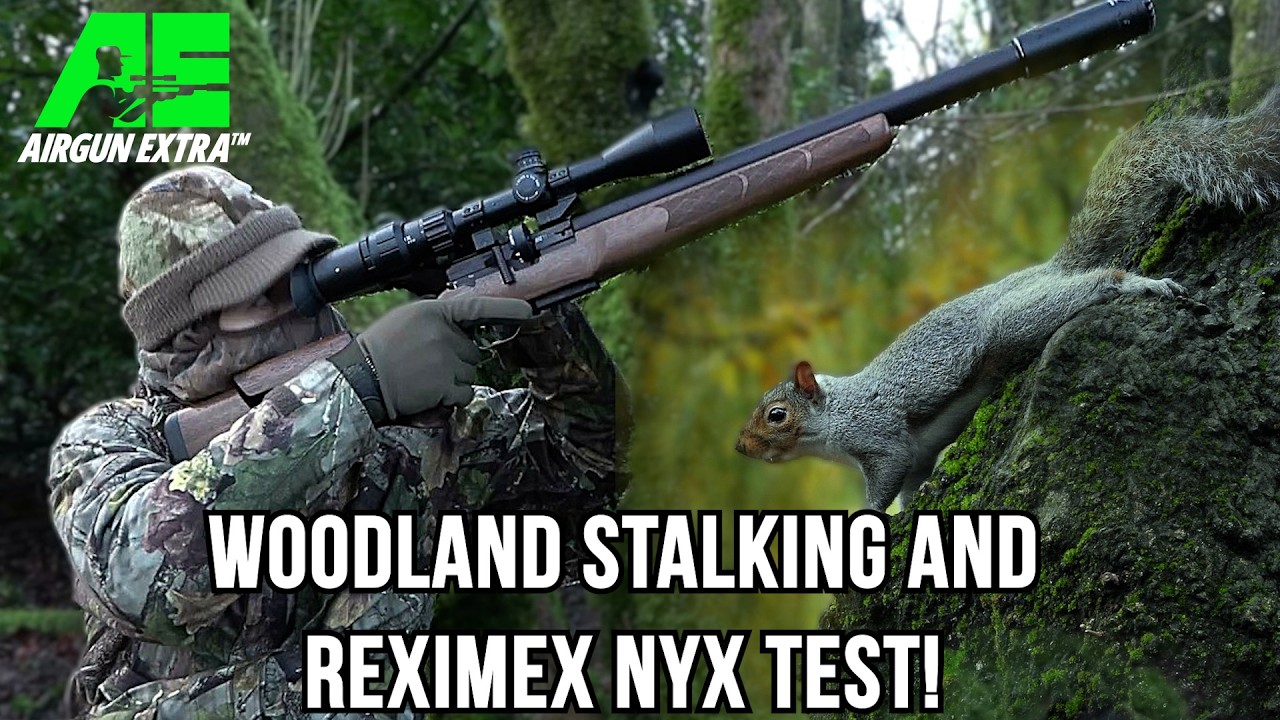 Airgun Extra | Winter woodland squirrel hunting | Reximex NYX tactical airgun review