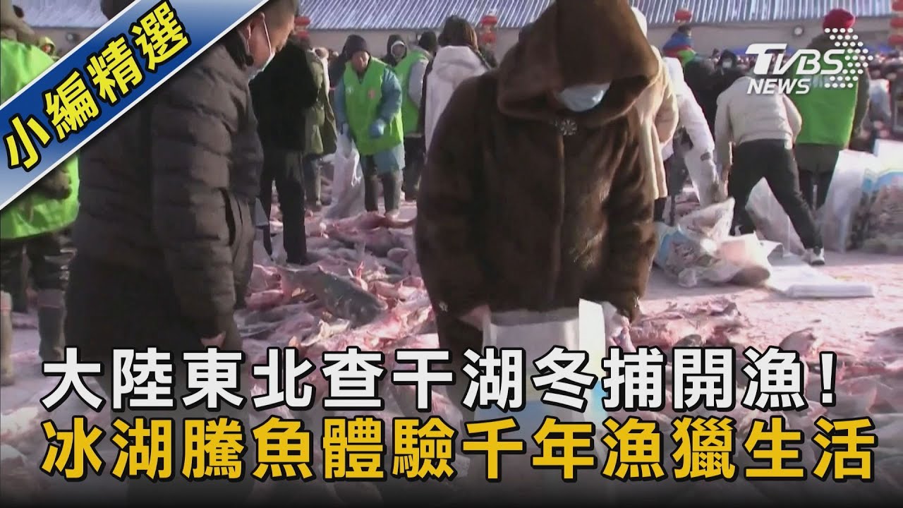 【圖文故事】大陸東北查干湖冬捕開漁! 冰湖騰魚體驗千年漁獵生活｜TVBS新聞