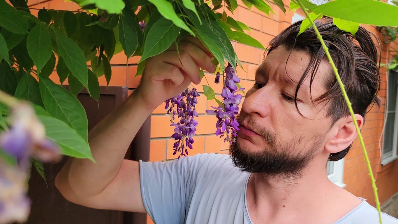 THE MOST BEAUTIFUL FLOWERS IN MY GARDEN