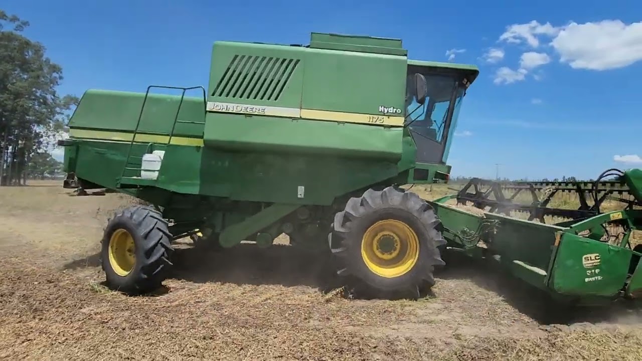 1175 no rotor duplo lezy colhendo soja vai muito bem !!!