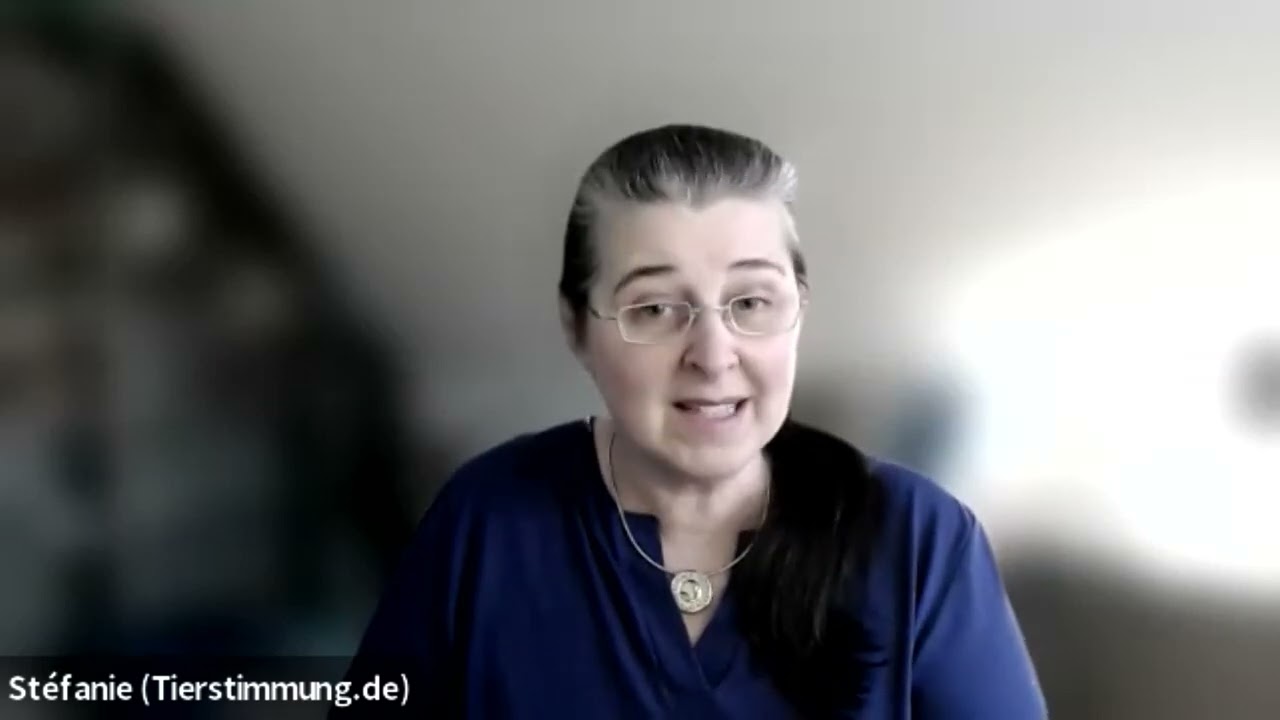 Tierkommunikation &ndash; Himmelsgespr&auml;che, Seelengespr&auml;che, Sterbebegleitung 💖