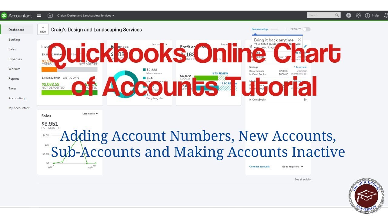 Quickbooks Online Chart of Accounts Tutorial