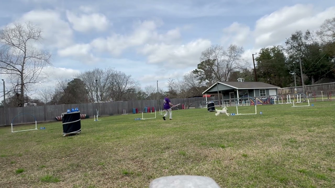 Blast, Elite Grounders, Happy, Round 1, 2/17/26