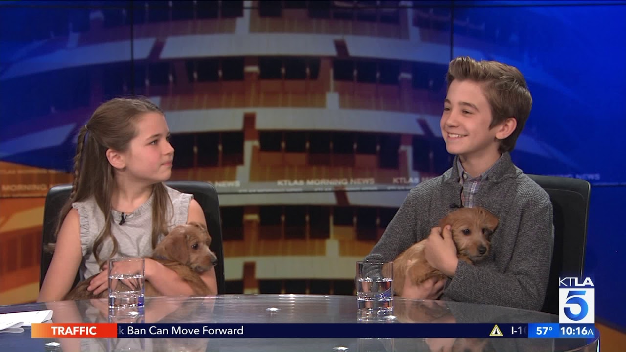 This Is Us's Parker Bates & Young Sheldon's Raegan Revord Bring Puppies & Talk Paw Works Gala