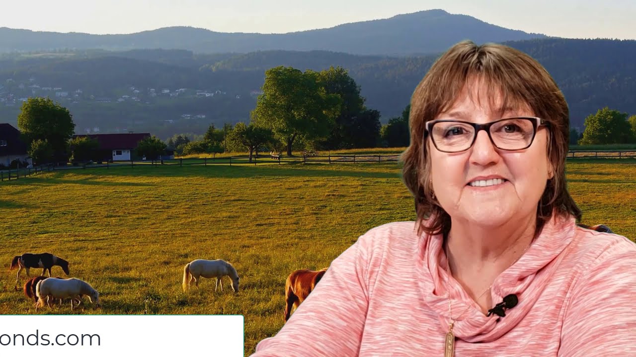 Animal Bonds Talks Animal Reiki