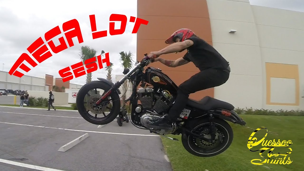 Mega Lot Sesh!