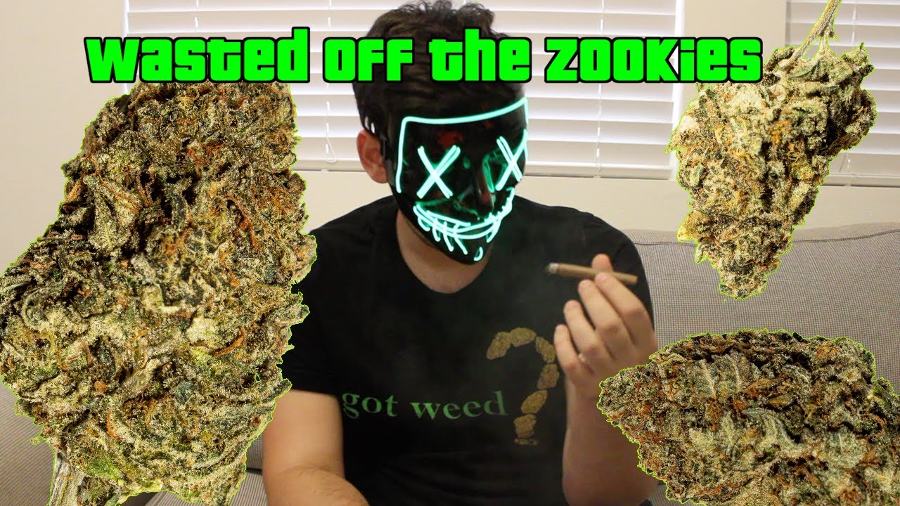 Wasted off the 27% THC Zookies And Got Munchies