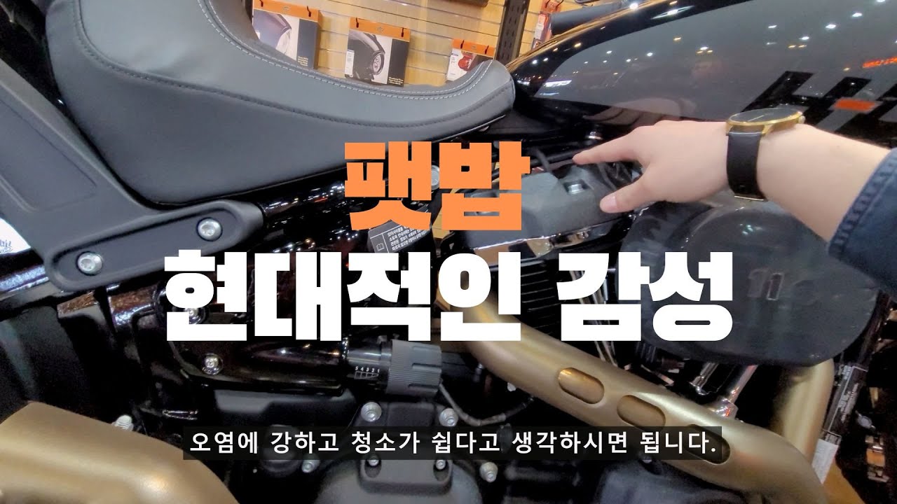 할리데이비슨 팻밥 / 간단하게 둘러보기 / 할리데이비슨 도도할리 최우혁
