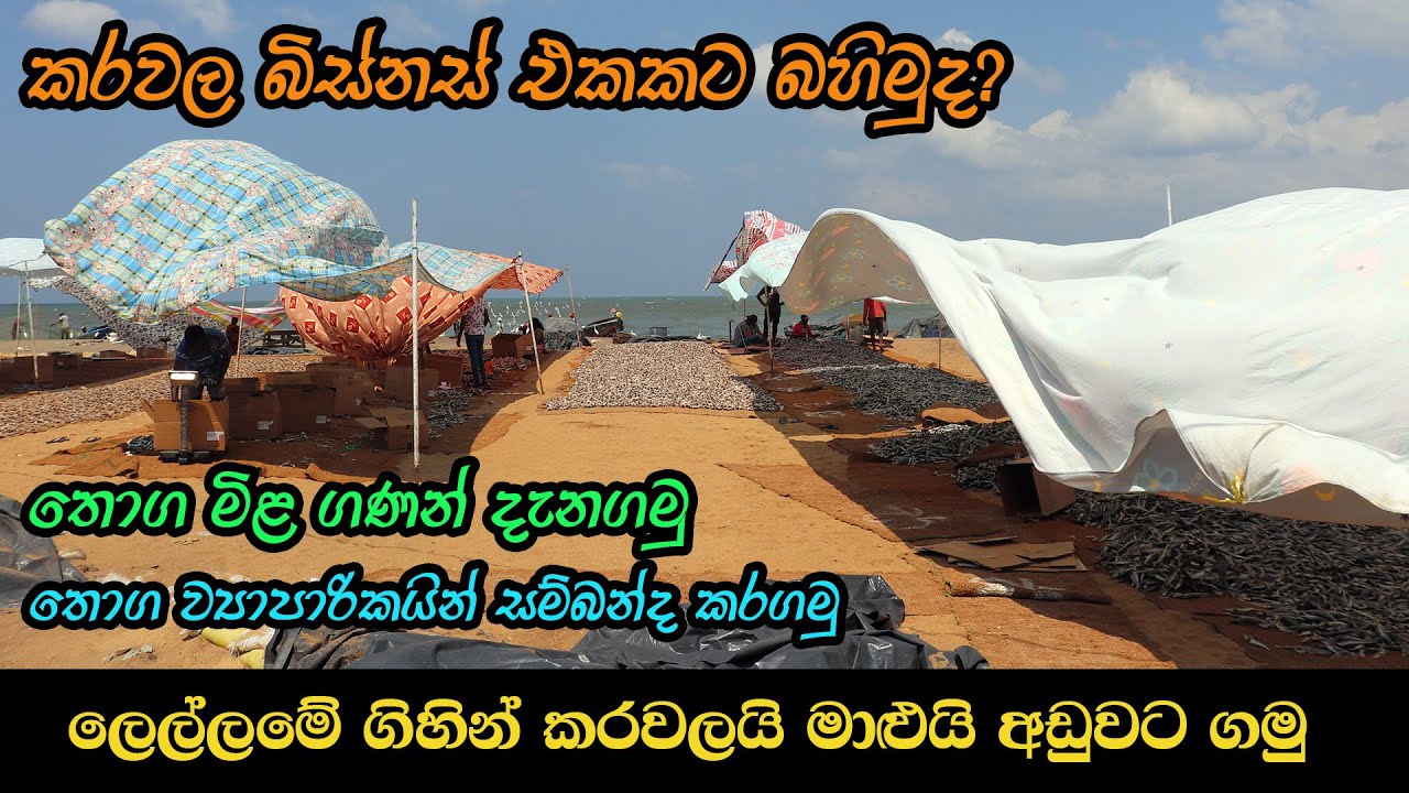 Lellama Karawala and Fish / ලෙල්ලම කරවල සහ මාළු