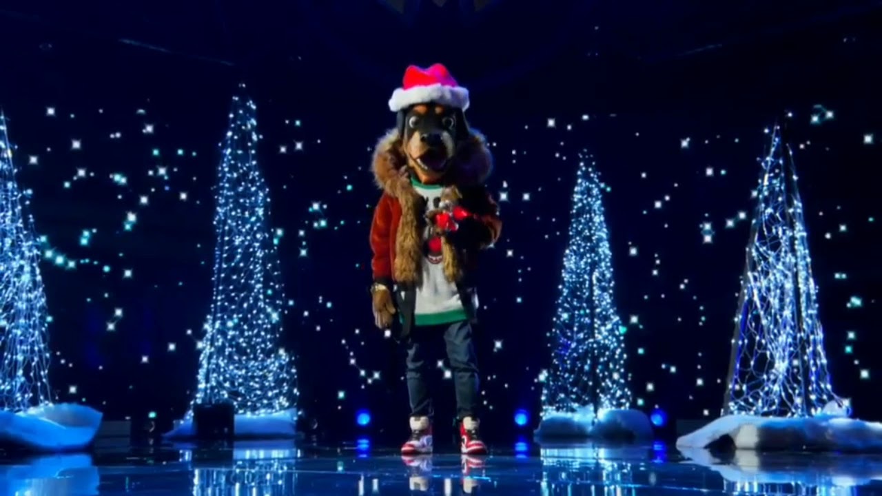 the masked singer The rottweiler 