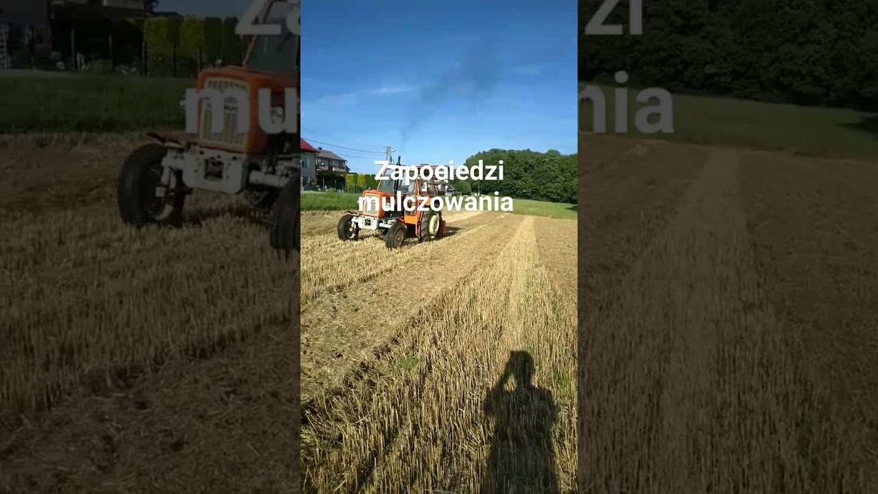 Mulczowanie  ursus c 335 & mulczer Stark