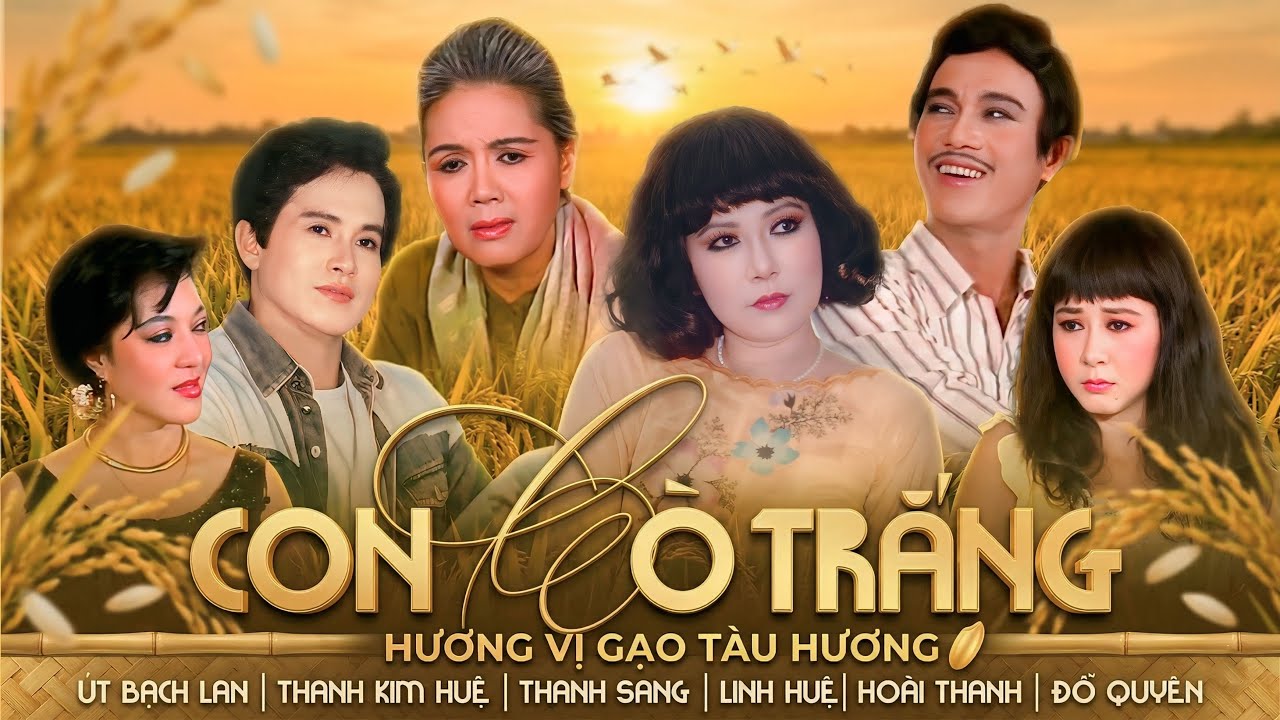 Con Cò Trắng – Bi Kịch Xã Hội Lấy Nước Mắt | Thanh Kim Huệ, Út Bạch Lan, Thanh Sang, Linh Huệ